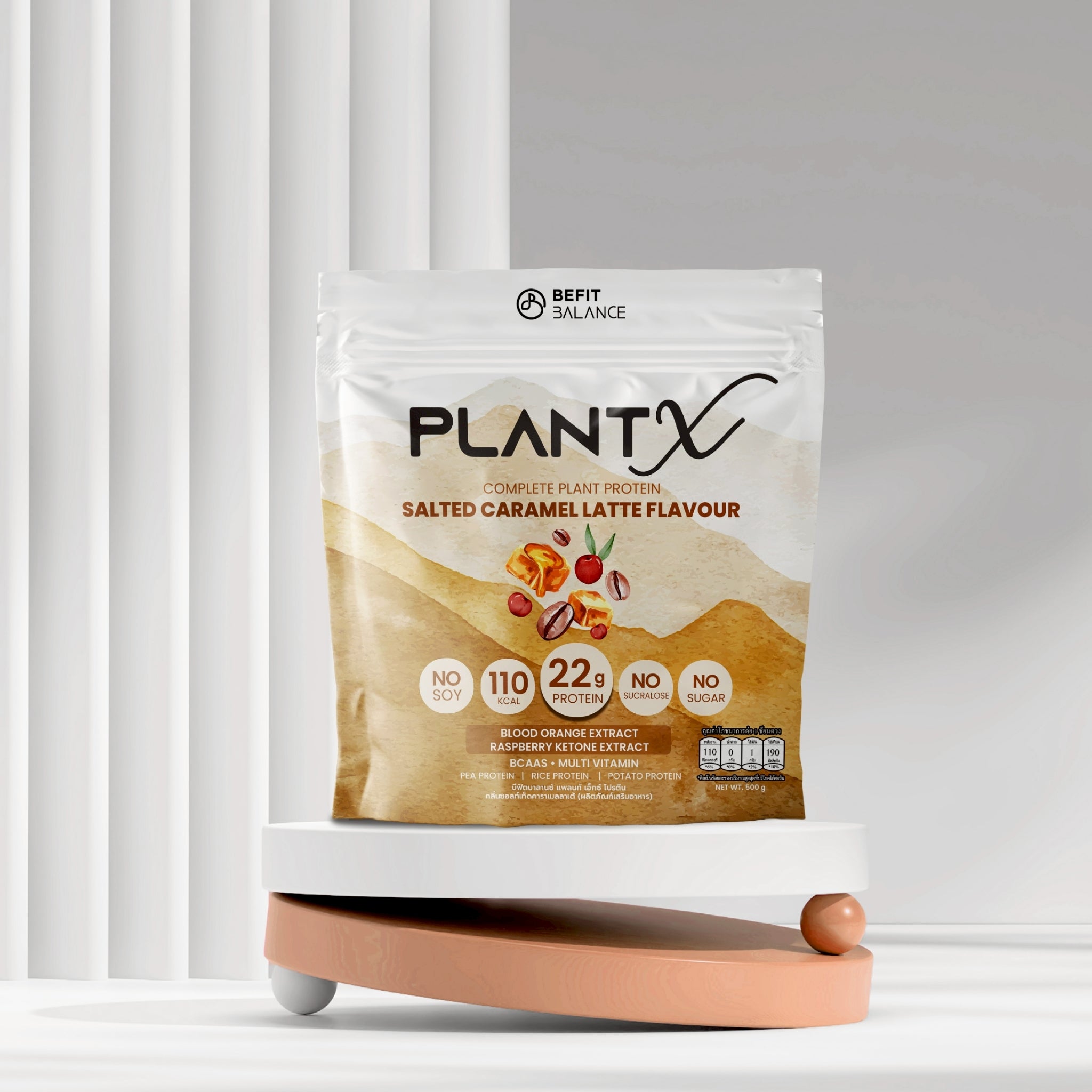 PLANT-X SALTED CARAMEL LATTE