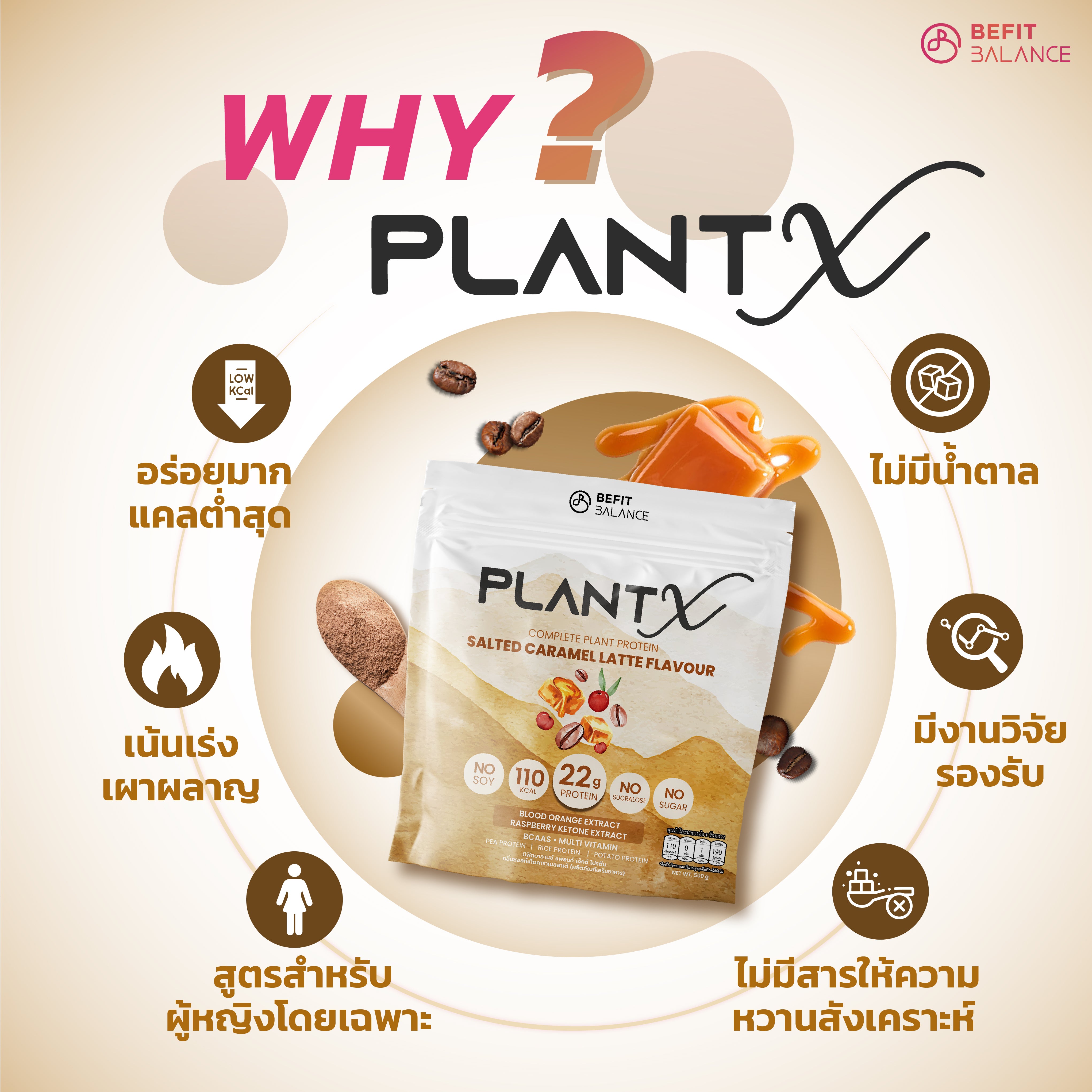 Plant-X Salted Caramel Latte 500 g โปรตีนพืช คุมหิว ลึกถึงฮอร์โมน