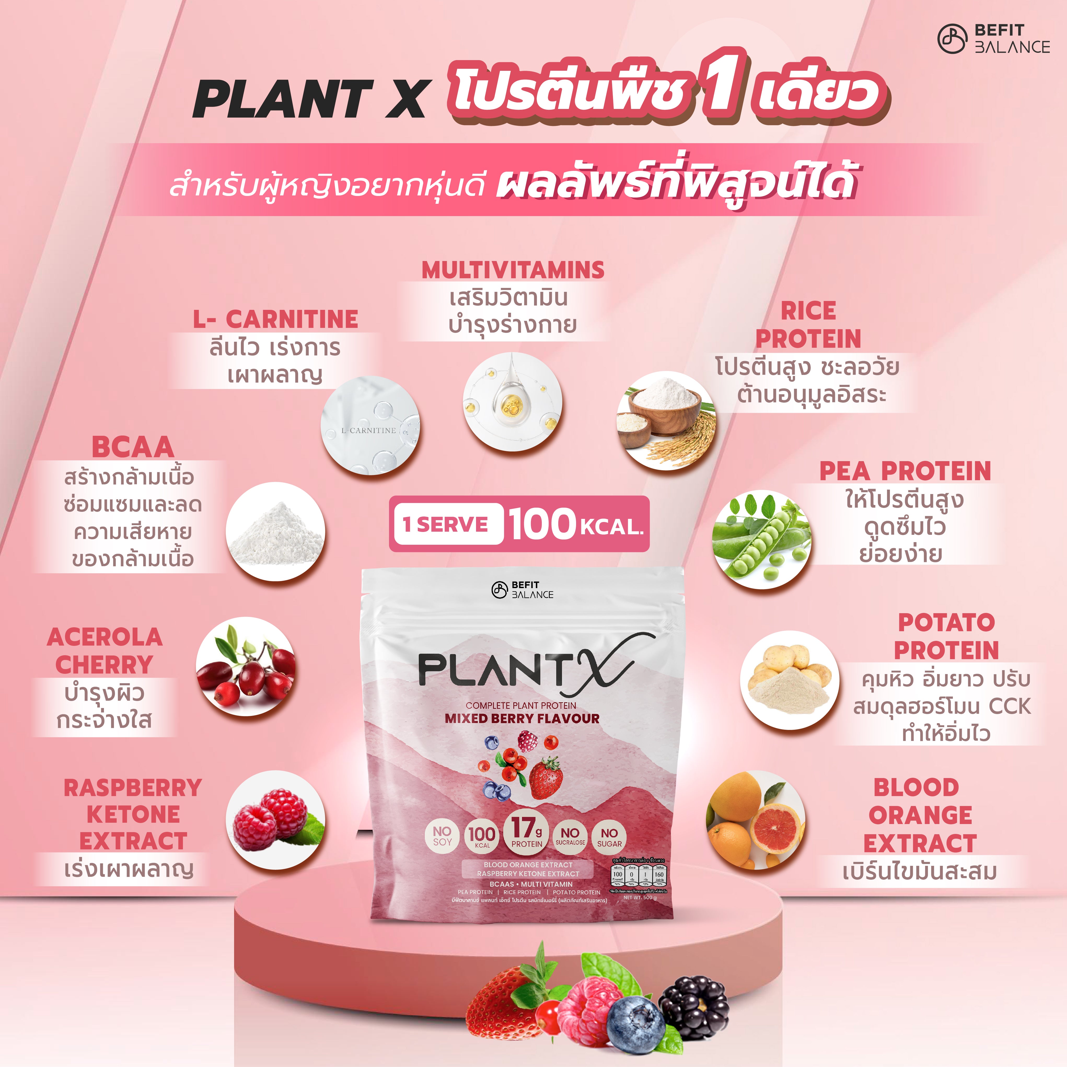 Plant-X Mixed Berry 500g โปรตีนพืช คุมหิว ลึกถึงฮอร์โมน