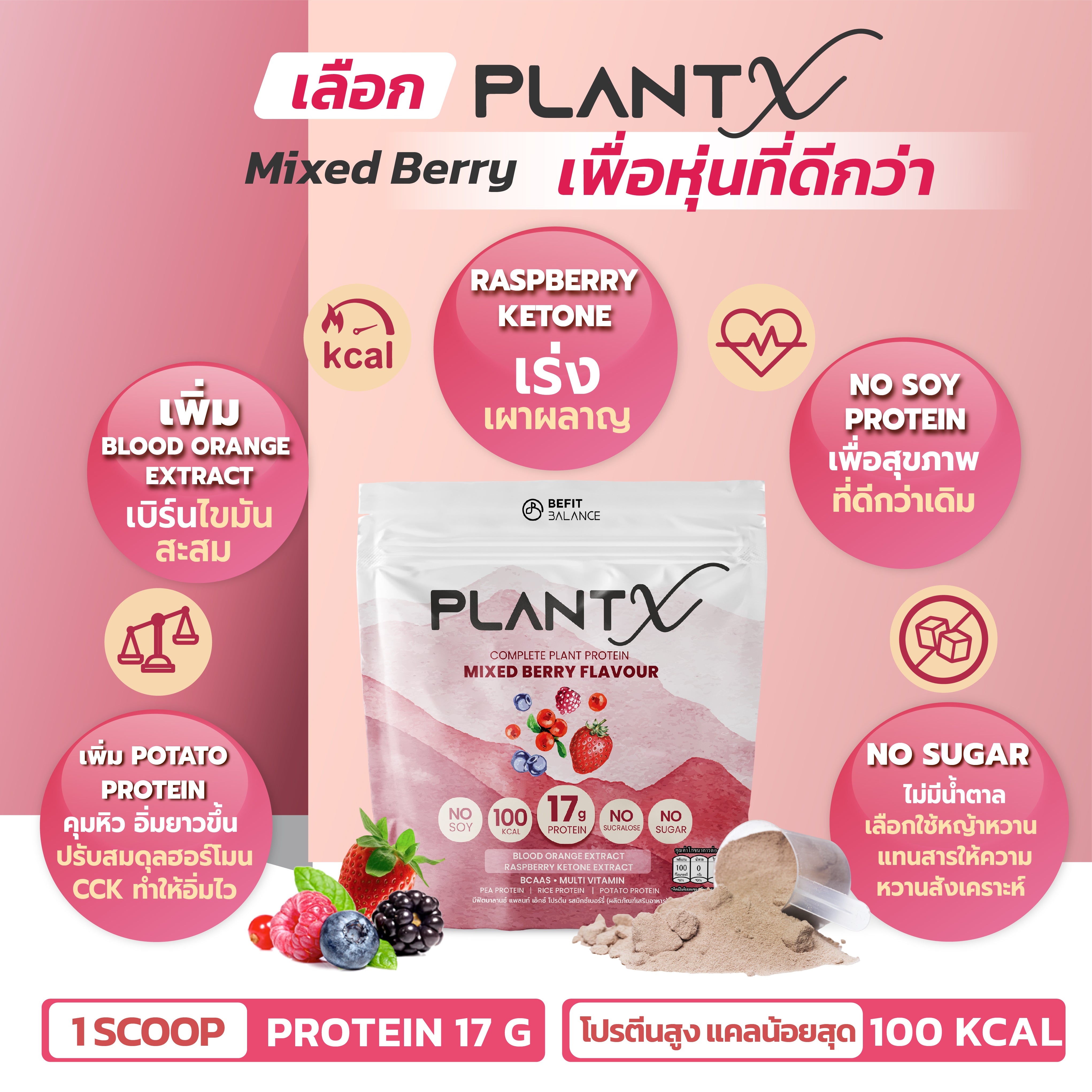 Bundle Set - FIBER X 1กล่อง / Plant X โปรตีนพืช 1 ถุง Set meal replacement